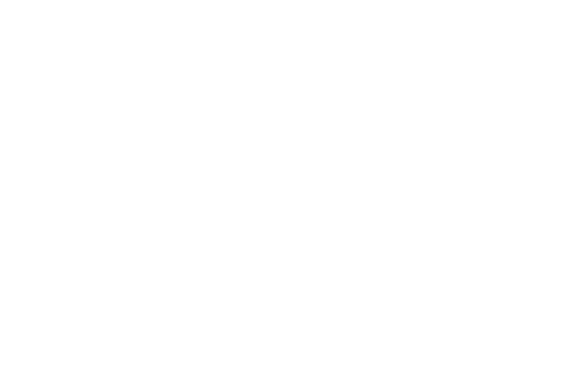 Notlith